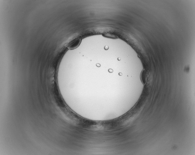 X0000089850356200707262112