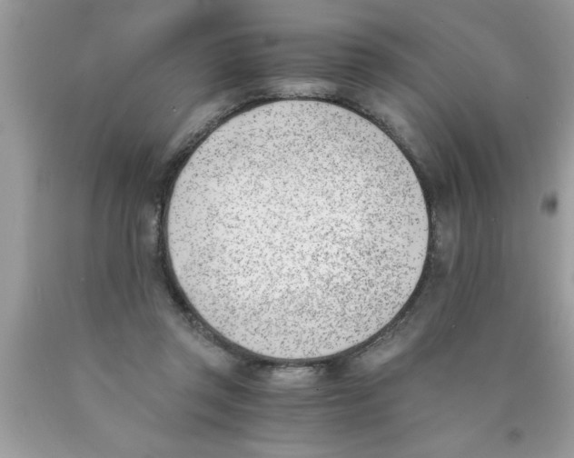 X0000089850357200707262112