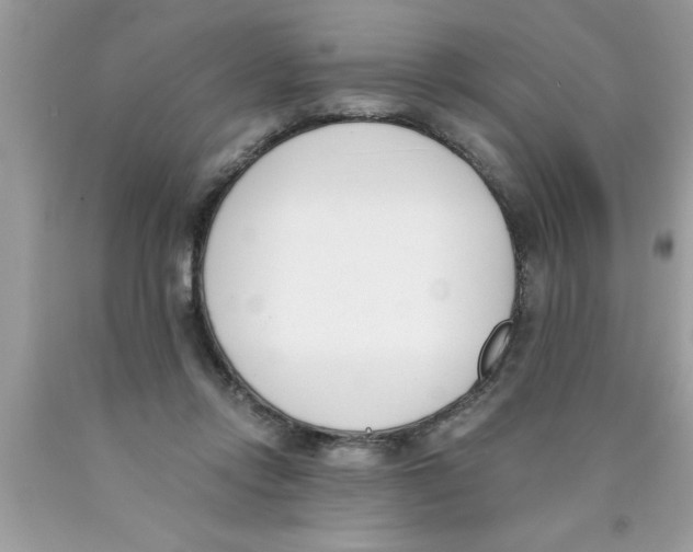 X0000089850358200707262112