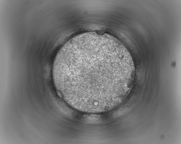 X0000089850359200707262112