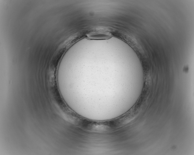 X0000089850360200707262112