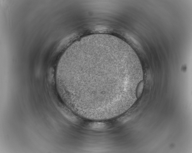 X0000089850361200707262112