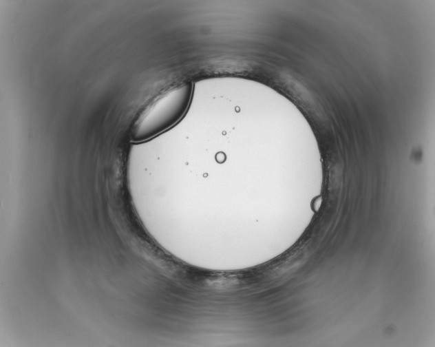 X0000089850362200707262112