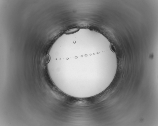 X0000089850364200707262112