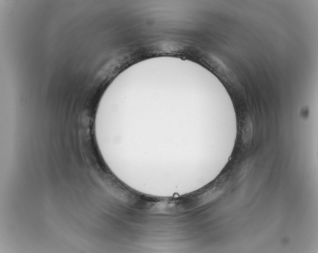 X0000089850366200707262112