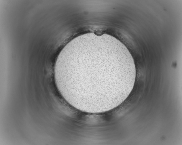 X0000089850367200707262112