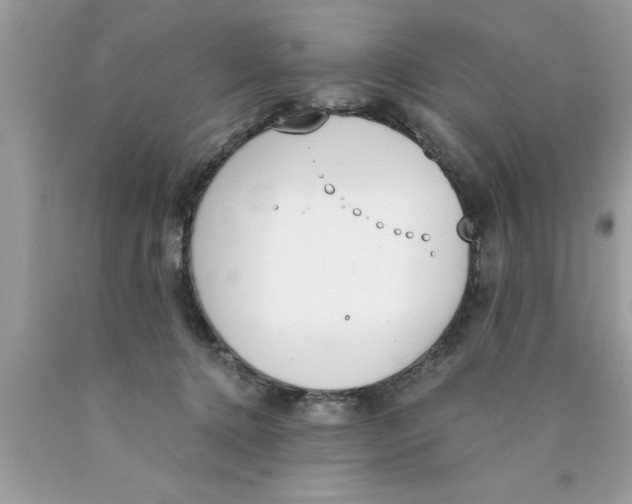 X0000089850368200707262112