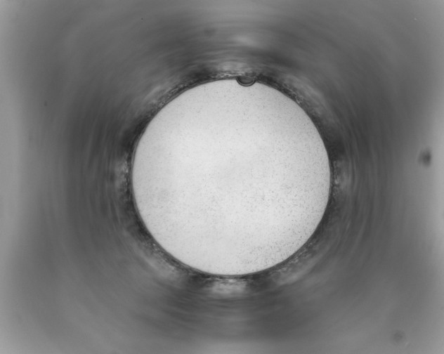 X0000089850369200707262112