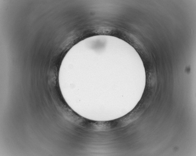 X0000089850370200707262112