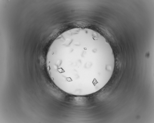 X0000089850371200707262112