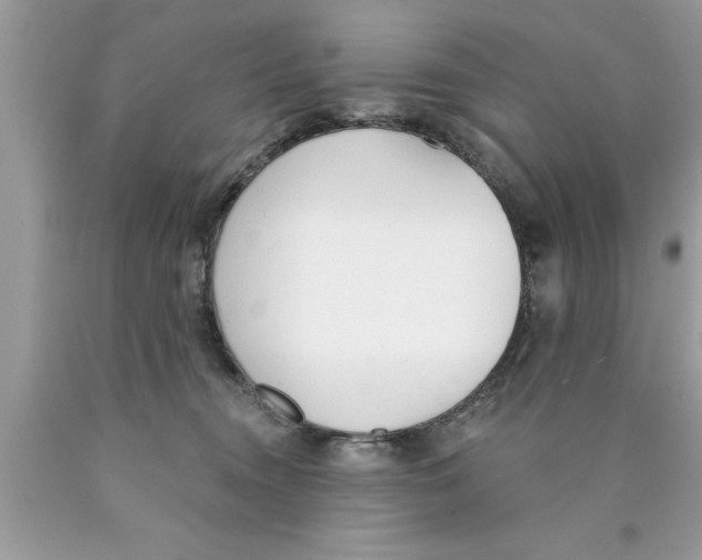 X0000089850372200707262112