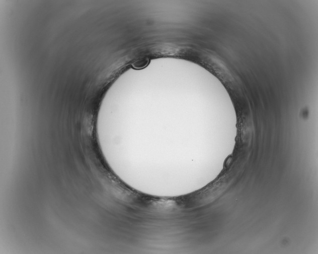 X0000089850374200707262112