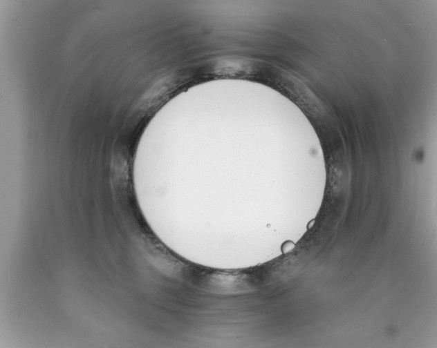 X0000089850375200707262112