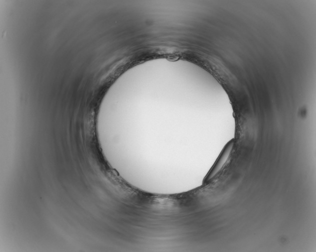 X0000089850376200707262112