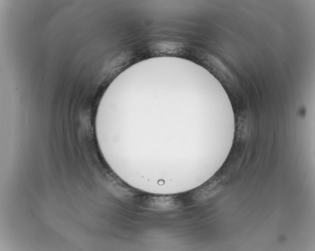 X0000089850377200707262112