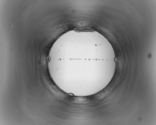 X0000089850380200707262112