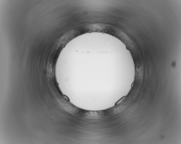 X0000089850381200707262112