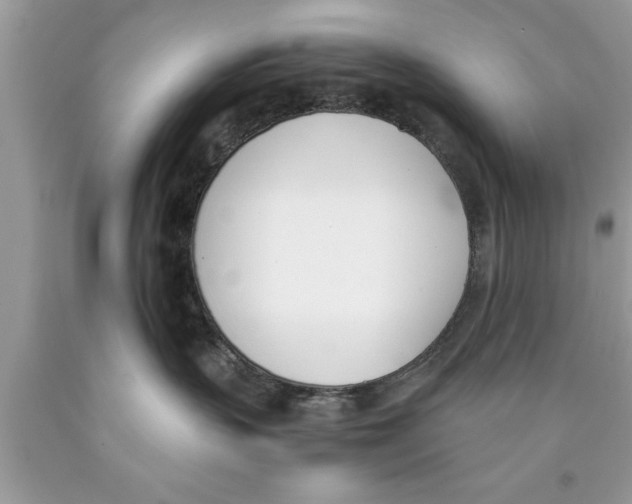 X0000089850383200707262112