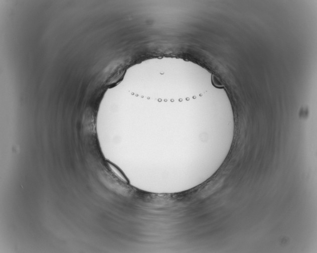 X0000089850384200707262112