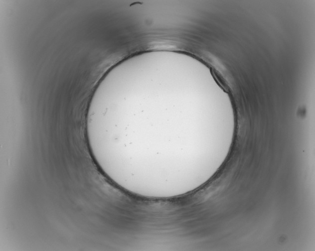 X0000089850385200707262112