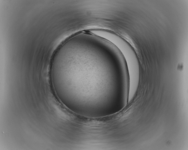 X0000089850387200707262112