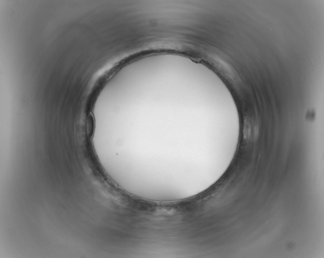 X0000089850388200707262112