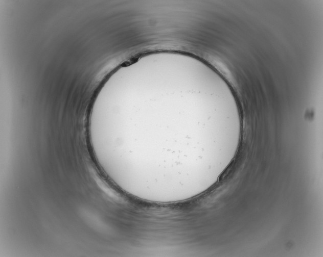 X0000089850389200707262112