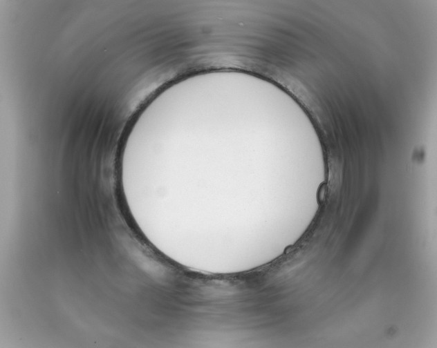 X0000089850390200707262112