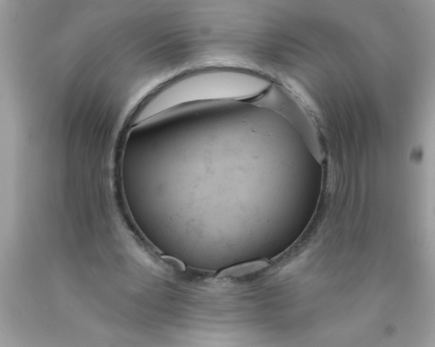 X0000089850391200707262112