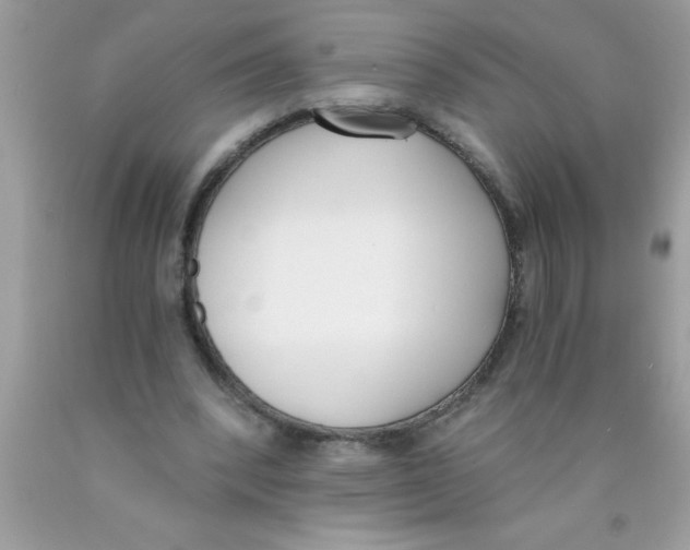 X0000089850392200707262112