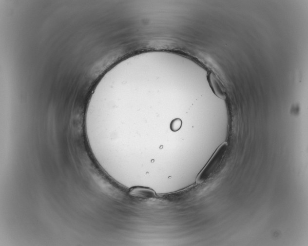 X0000089850393200707262112