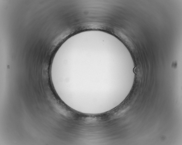 X0000089850394200707262112