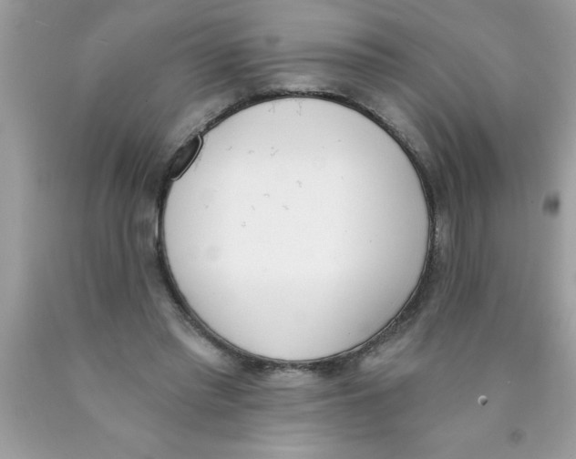 X0000089850397200707262112