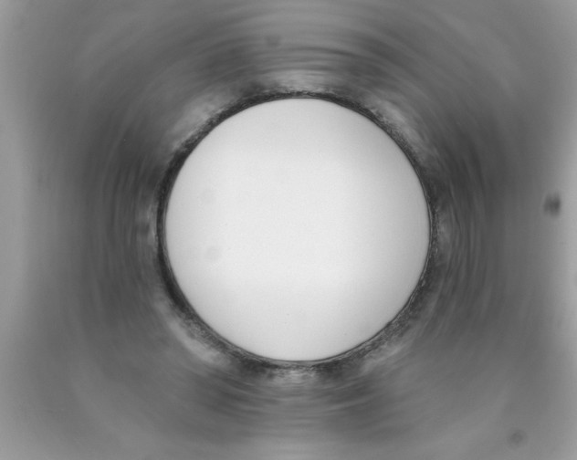 X0000089850398200707262112