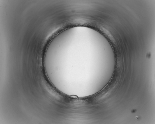 X0000089850399200707262112