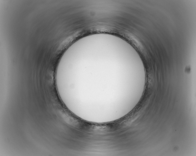 X0000089850401200707262111