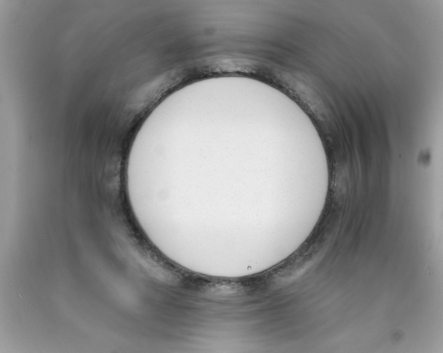 X0000089850402200707262111