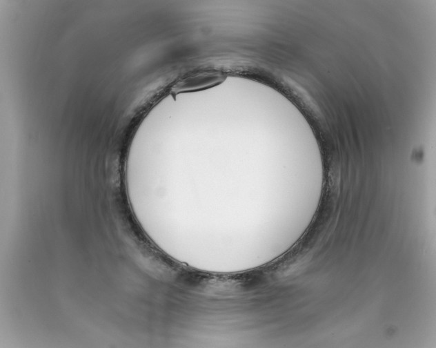 X0000089850403200707262111