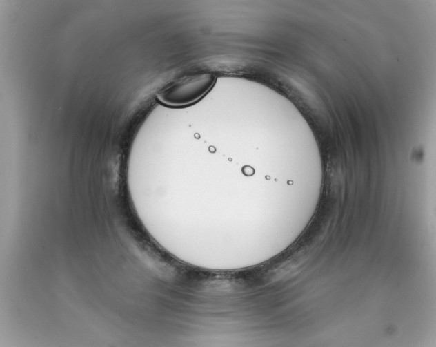 X0000089850404200707262111