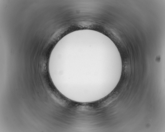 X0000089850408200707262111