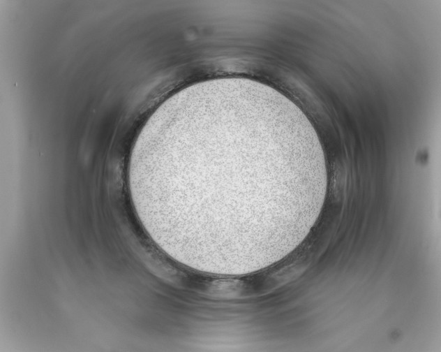 X0000089850410200707262111