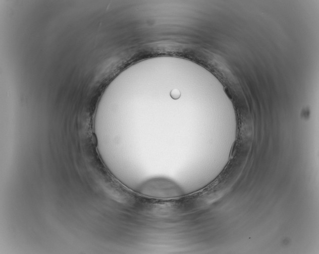 X0000089850411200707262111