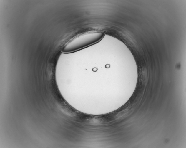 X0000089850412200707262111