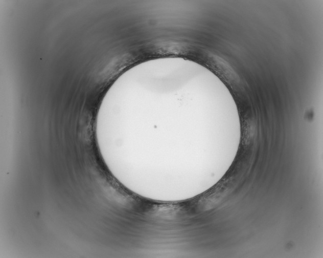 X0000089850414200707262111