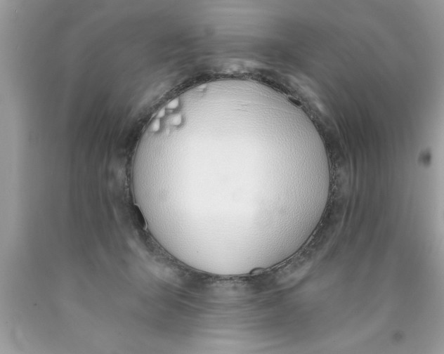 X0000089850415200707262111