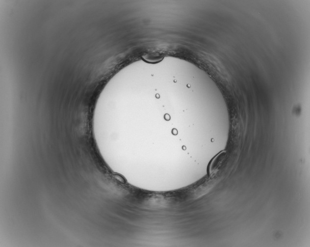 X0000089850416200707262111