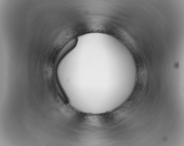 X0000089850417200707262111