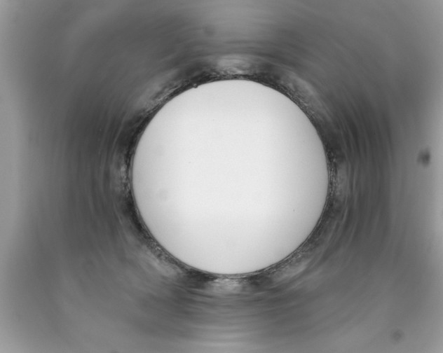 X0000089850418200707262111