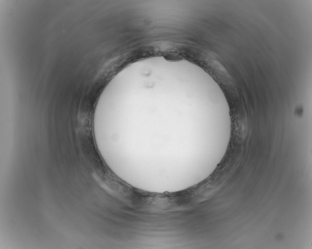 X0000089850419200707262111