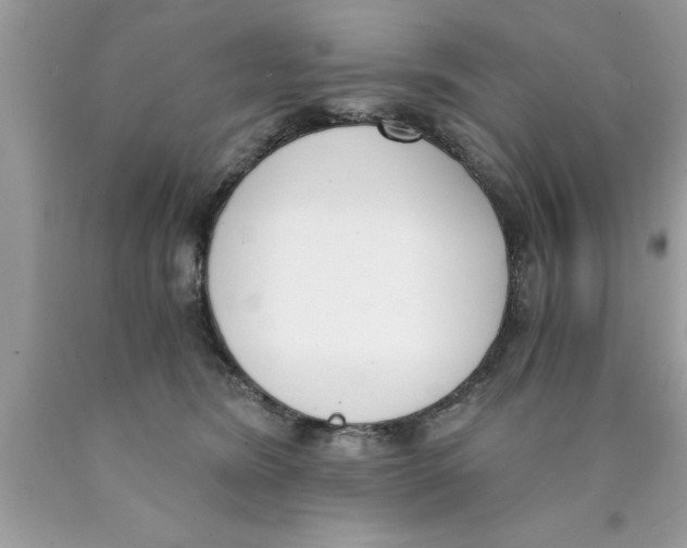 X0000089850420200707262111